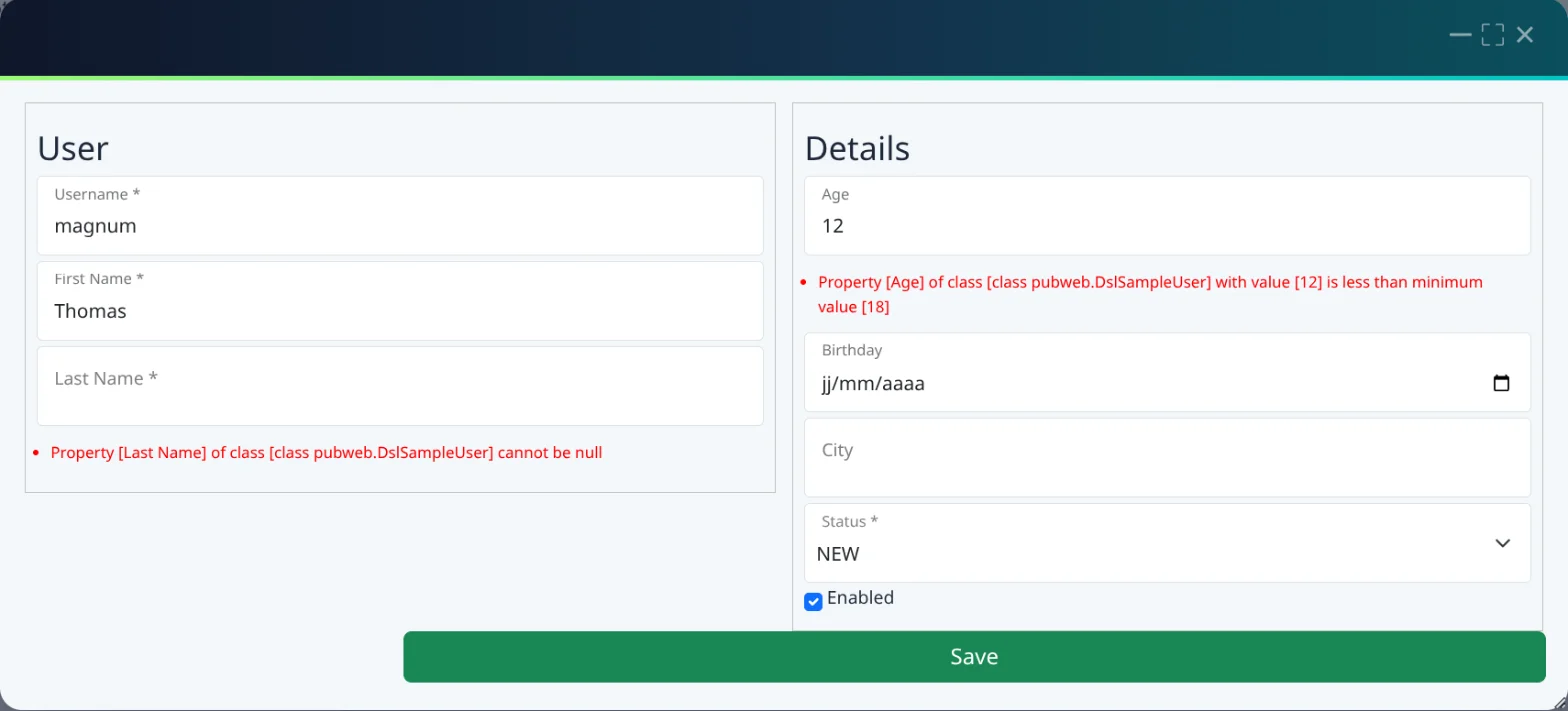 Form with validation errors